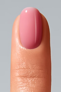 Color Gel Disguise Collection G