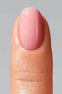 Color Gel Disguise Collection C