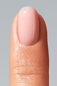Color Gel Disguise Collection A