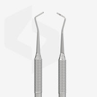 STALEKS EXPERT 20 TYPE 2 Curetta doppia
