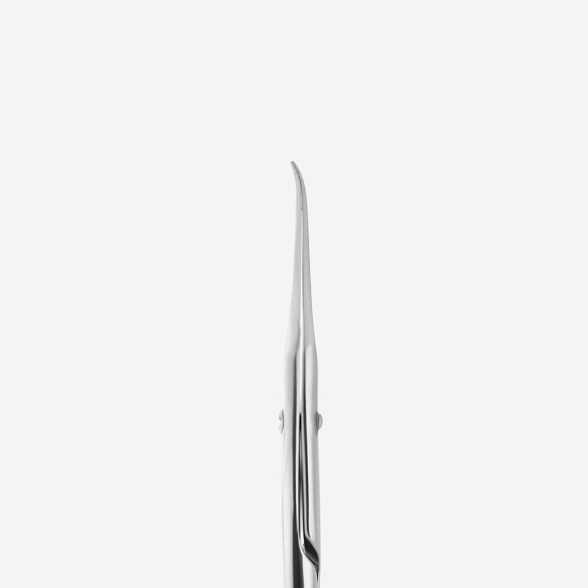 Forbici Professionali Per Cuticole STALEKS EXCLUSIVE 21 TYPE 1